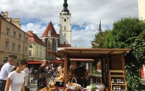 Oleśnicki Jarmark Wspaniałości - Jarmark Ekologiczny (3)