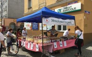 Oleśnicki Jarmark Wspaniałości - Jarmark Ekologiczny (2)