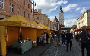 Oleśnicki Jarmark Wspaniałości - Jarmark Ekologiczny (7)