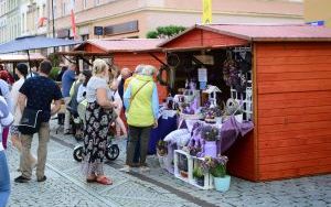 Oleśnicki Jarmark Wspaniałości - Jarmark Ekologiczny (7)