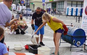 XXIV Dni Europy - Rynek (3)