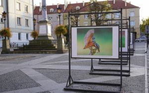 fotografii Damiana Stopczyńskiego "Wokół miasta" (1)