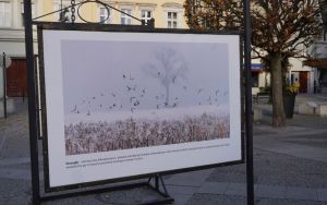 fotografii Damiana Stopczyńskiego "Wokół miasta" (4)