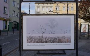 Wystawa plenerowa fotografii Damiana Stopczyńskiego "Wokół miasta" (1)