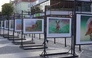 Wystawa plenerowa fotografii Damiana Stopczyńskiego "Wokół miasta" (2)
