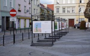 Wystawa plenerowa fotografii Damiana Stopczyńskiego "Wokół miasta" (1)