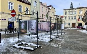 Fotografie - Wystawa plenerowa Jakub Wencek (3)